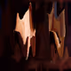 340282366920938463463374607431768211472