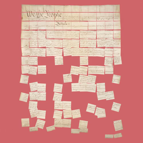 Constitution Fractionalized #565