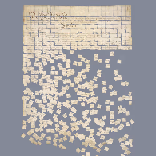 Constitution Fractionalized