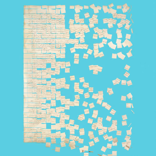 Constitution Fractionalized #490