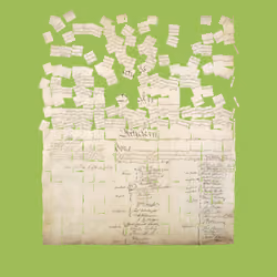Constitution Fractionalized #856