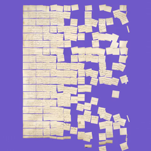 Constitution Fractionalized #150