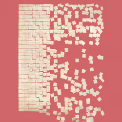 Constitution Fractionalized #870