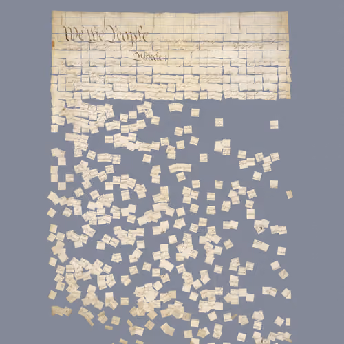 Constitution Fractionalized #509