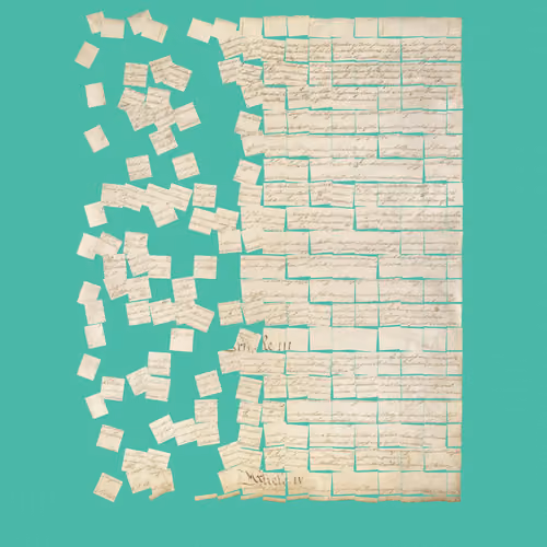 Constitution Fractionalized #559