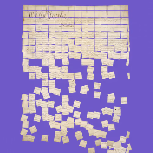 Constitution Fractionalized #905