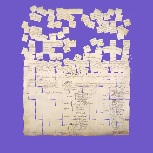 Constitution Fractionalized #564