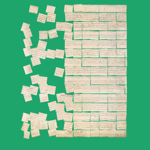 Constitution Fractionalized #599