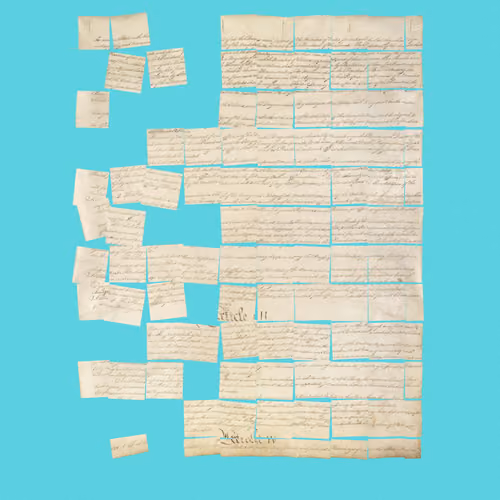 Constitution Fractionalized #795