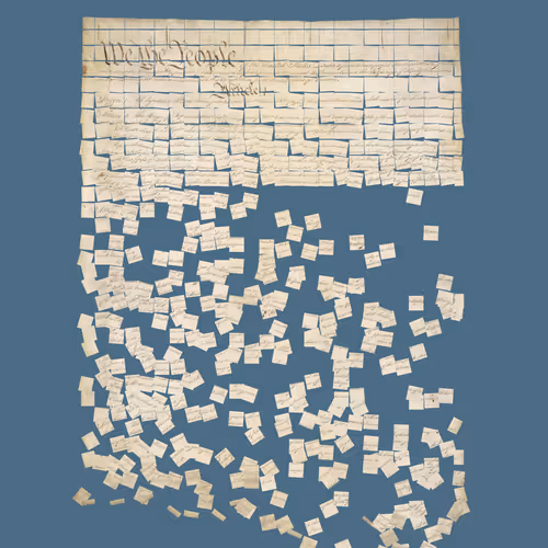Constitution Fractionalized #597