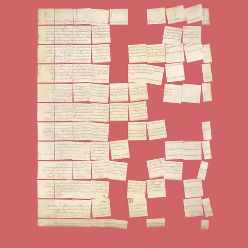 Constitution Fractionalized #834