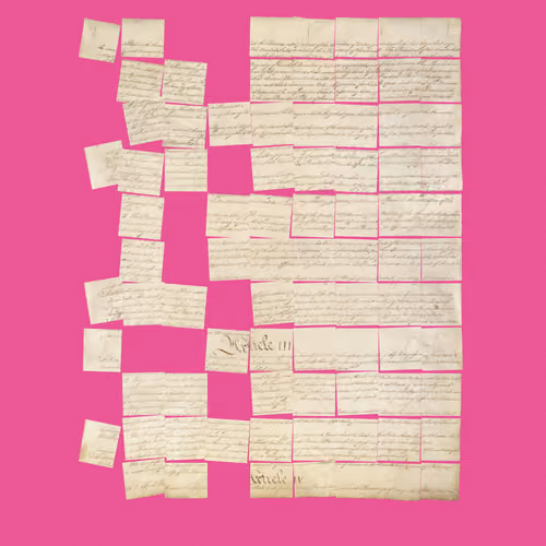 Constitution Fractionalized #883