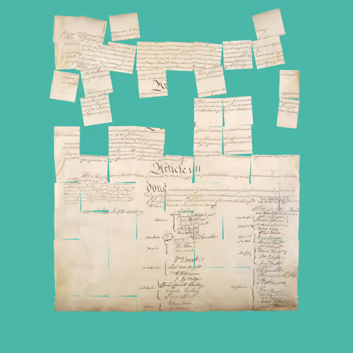 Constitution Fractionalized #508
