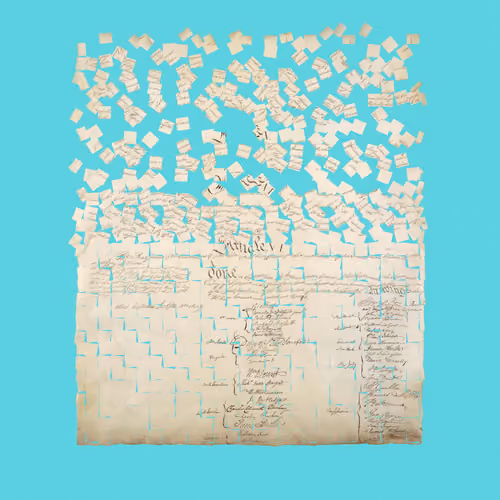 Constitution Fractionalized #860