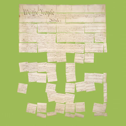 Constitution Fractionalized #493
