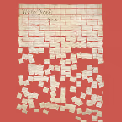 Constitution Fractionalized #525