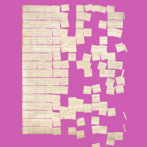 Constitution Fractionalized #550