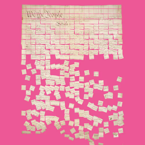 Constitution Fractionalized #193
