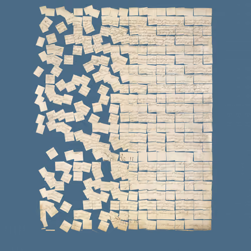 Constitution Fractionalized #851