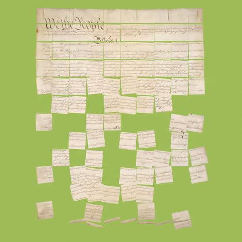 Constitution Fractionalized #137
