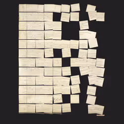 Constitution Fractionalized #366