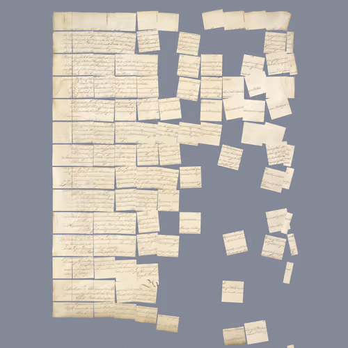 Constitution Fractionalized #458