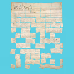 Constitution Fractionalized #853