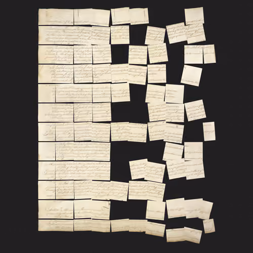 Constitution Fractionalized #678