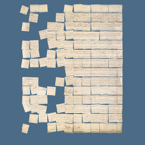 Constitution Fractionalized #263