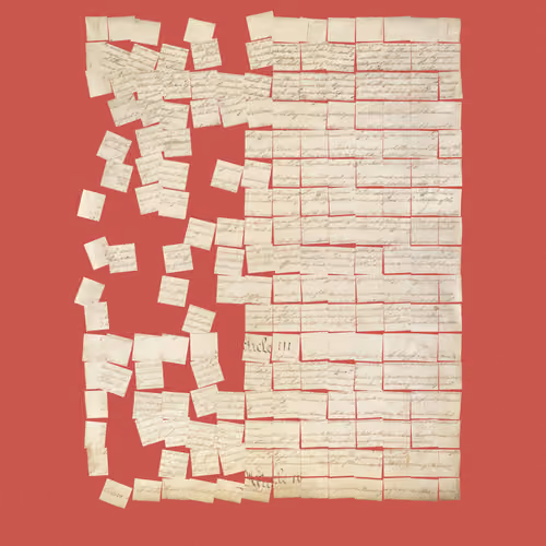 Constitution Fractionalized #467
