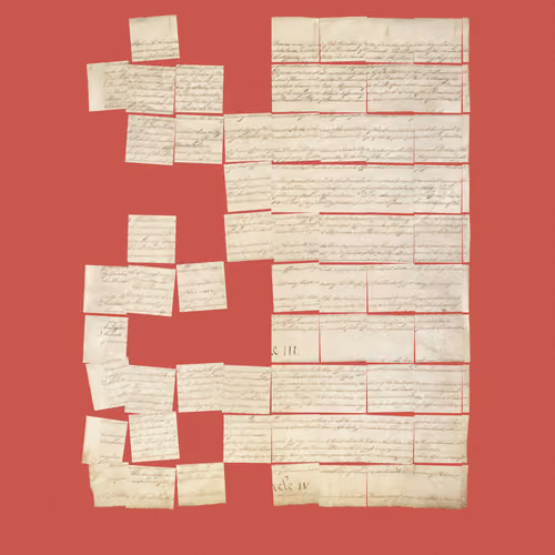 Constitution Fractionalized #903