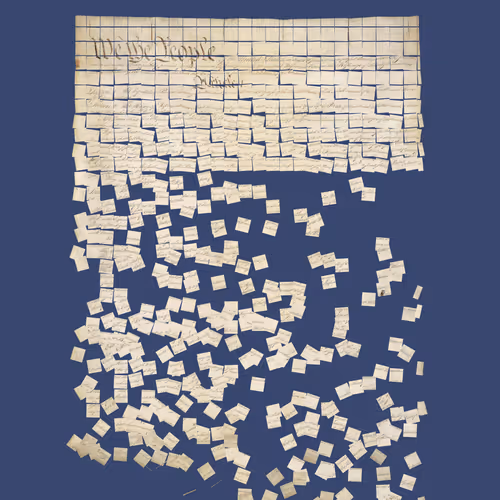 Constitution Fractionalized #865