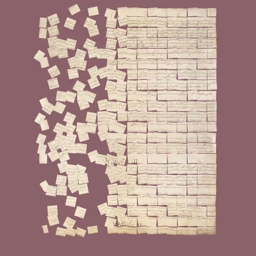 Constitution Fractionalized #895