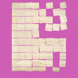 Constitution Fractionalized #986
