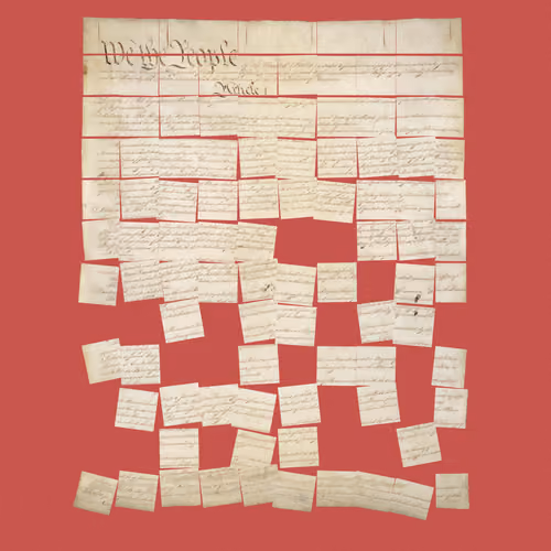 Constitution Fractionalized #293