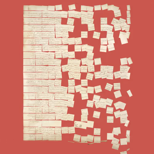 Constitution Fractionalized #598