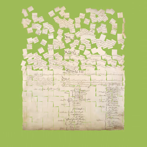 Constitution Fractionalized #544