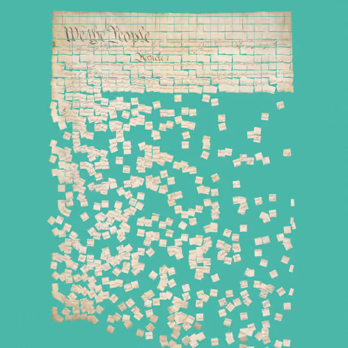 Constitution Fractionalized #733