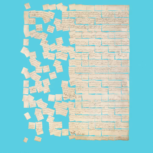 Constitution Fractionalized #715