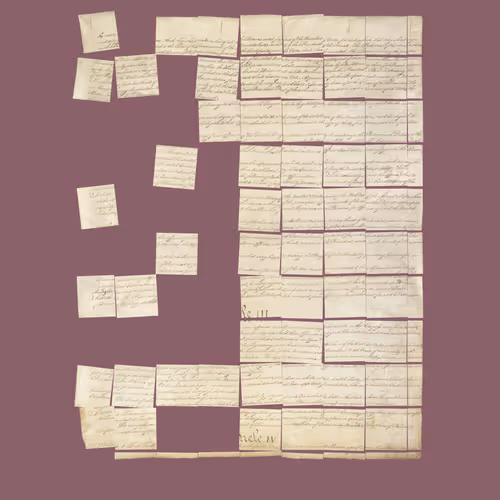 Constitution Fractionalized #859