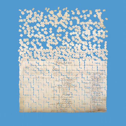 Constitution Fractionalized #884