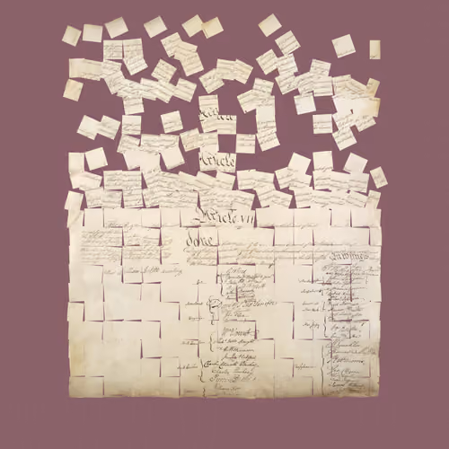Constitution Fractionalized #140