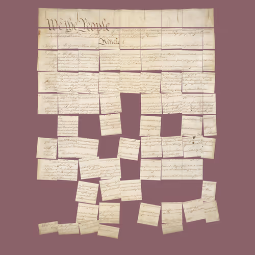 Constitution Fractionalized #89