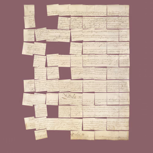 Constitution Fractionalized #503
