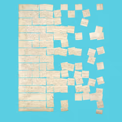 Constitution Fractionalized #526