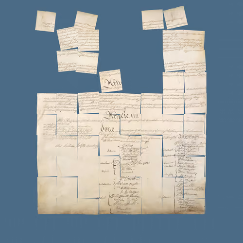 Constitution Fractionalized #372