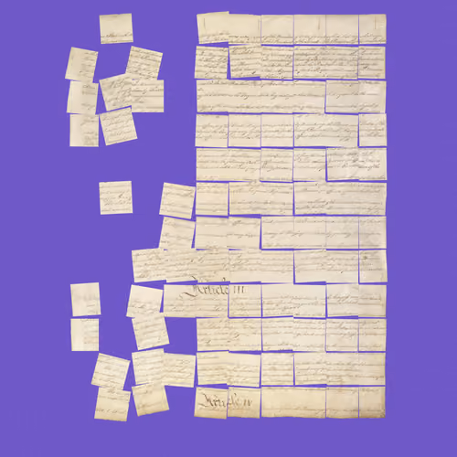 Constitution Fractionalized #215