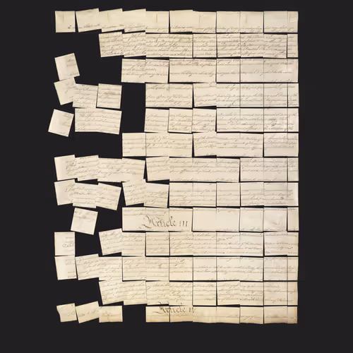 Constitution Fractionalized #395