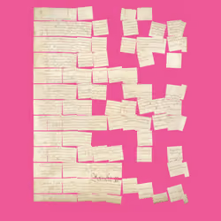 Constitution Fractionalized #970