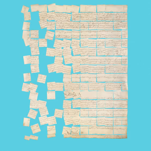 Constitution Fractionalized #555